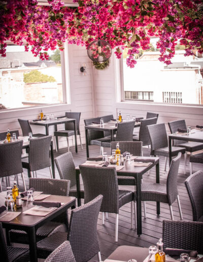 faux bougainvillea rooftop