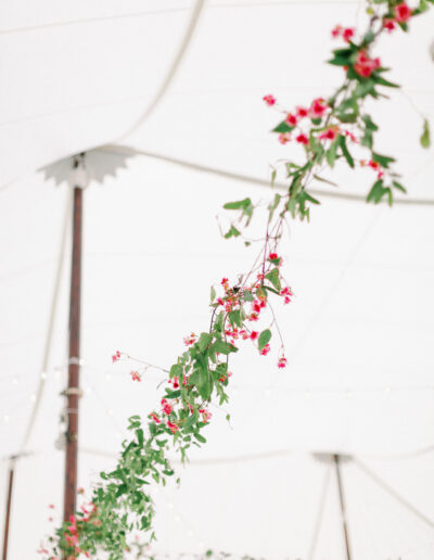 tent flowers